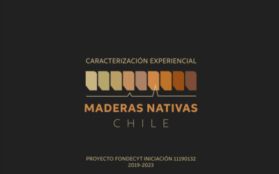 Caracterización Experiencial: Maderas Nativas de Chile